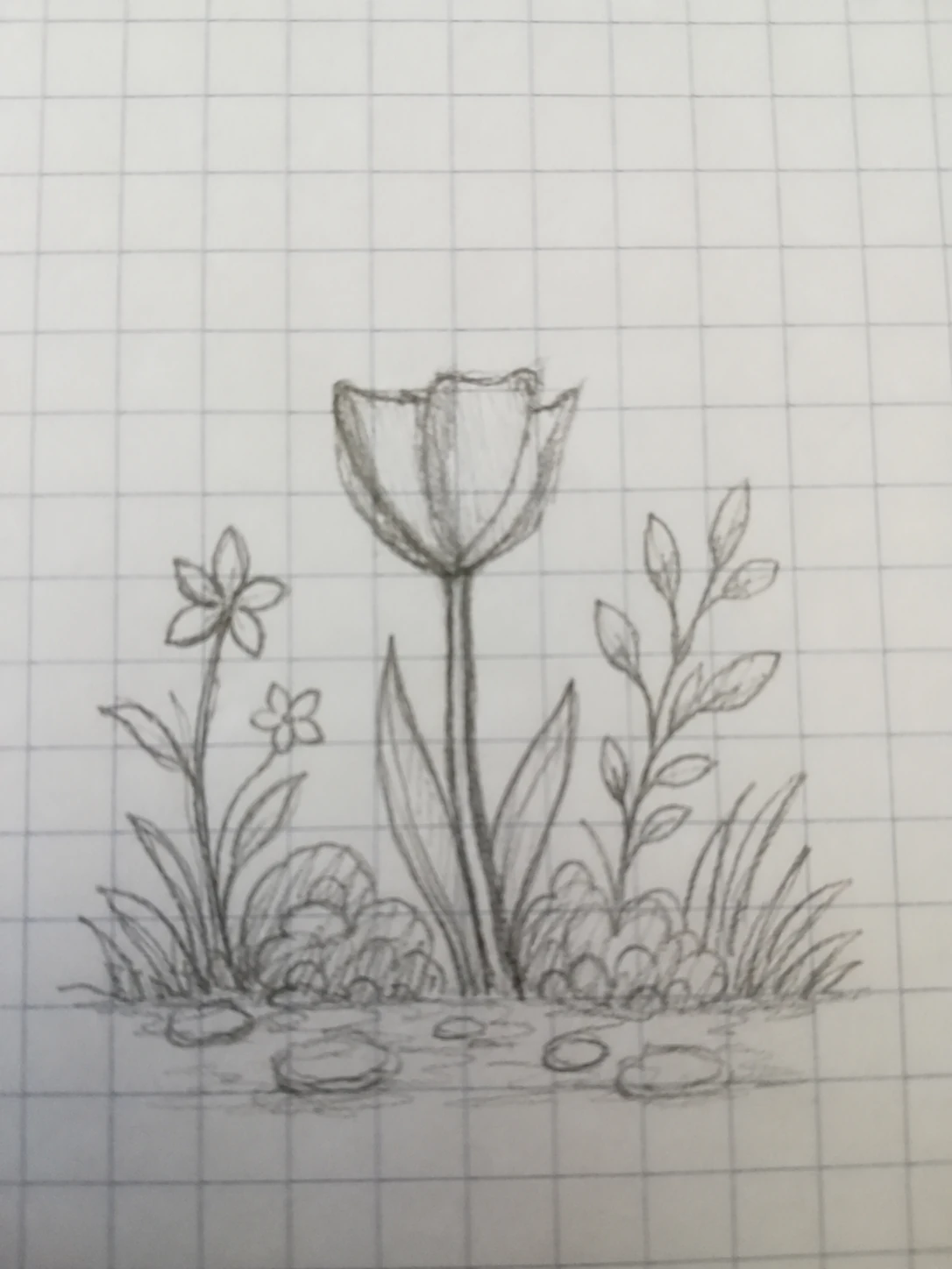 An AI expansion study that preserves the original lone flower and adds surrounding stems, small flowers, and foliage on squared paper.